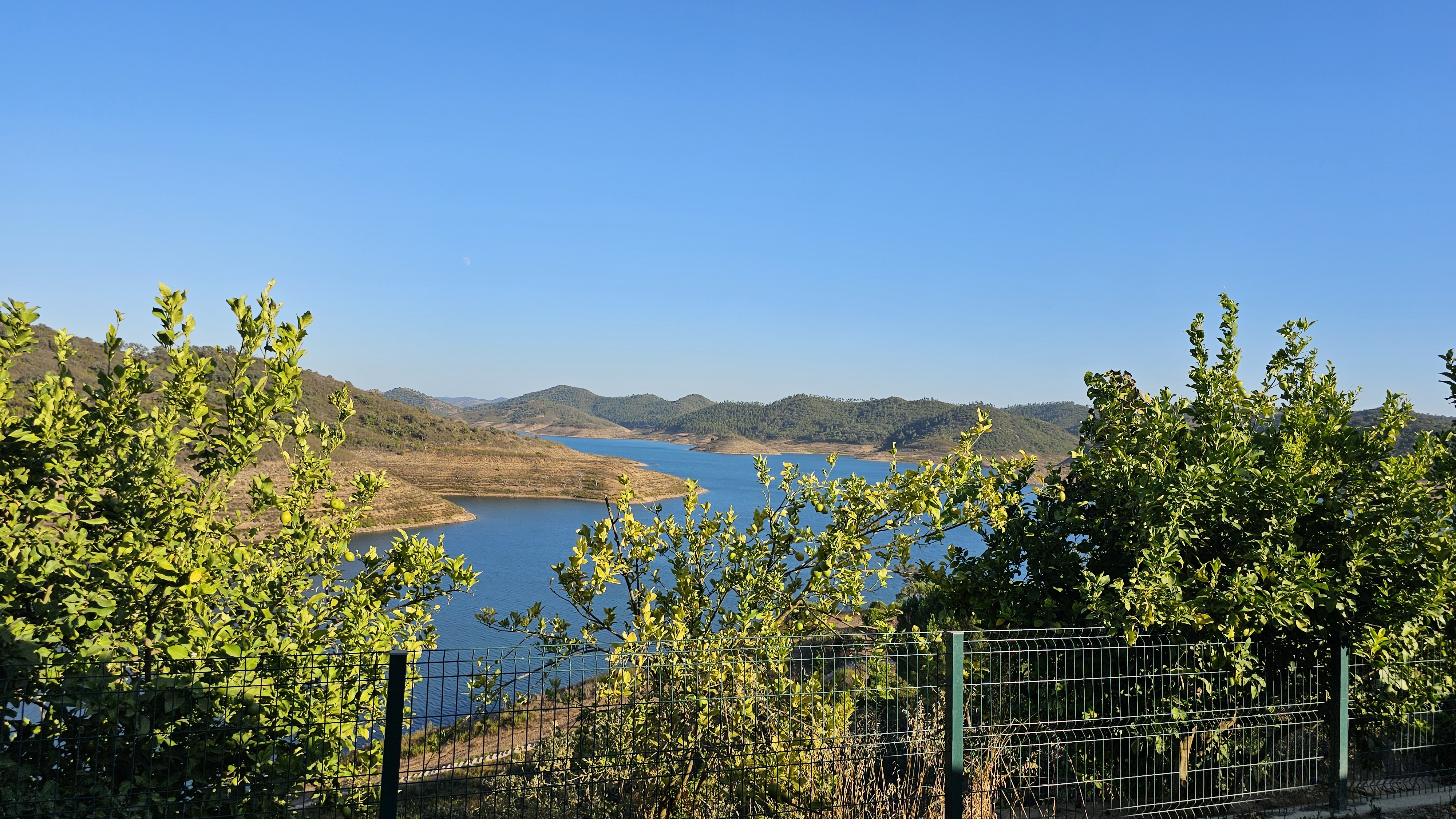 20240815_183550.jpg