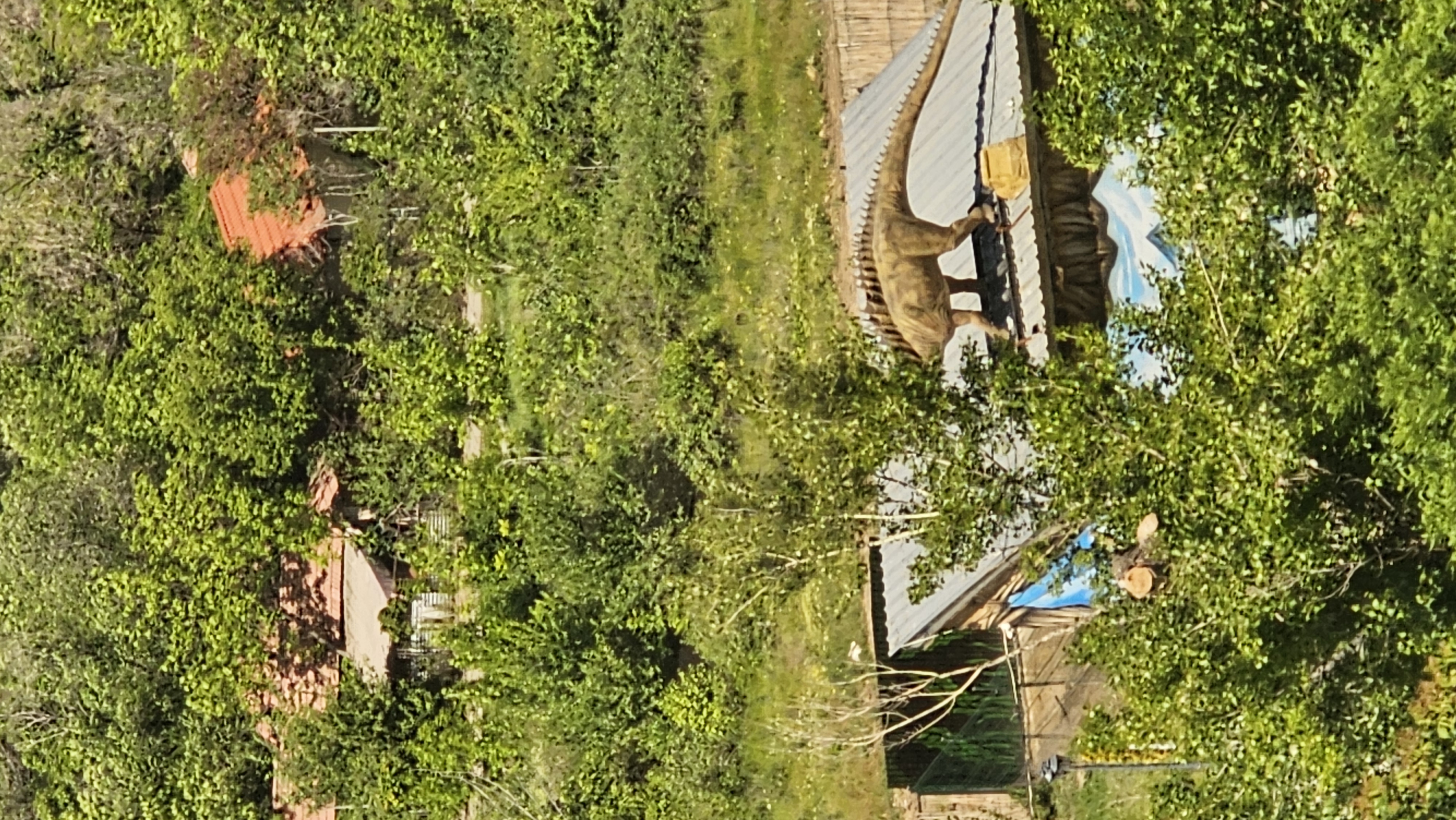20260517_143639.jpg