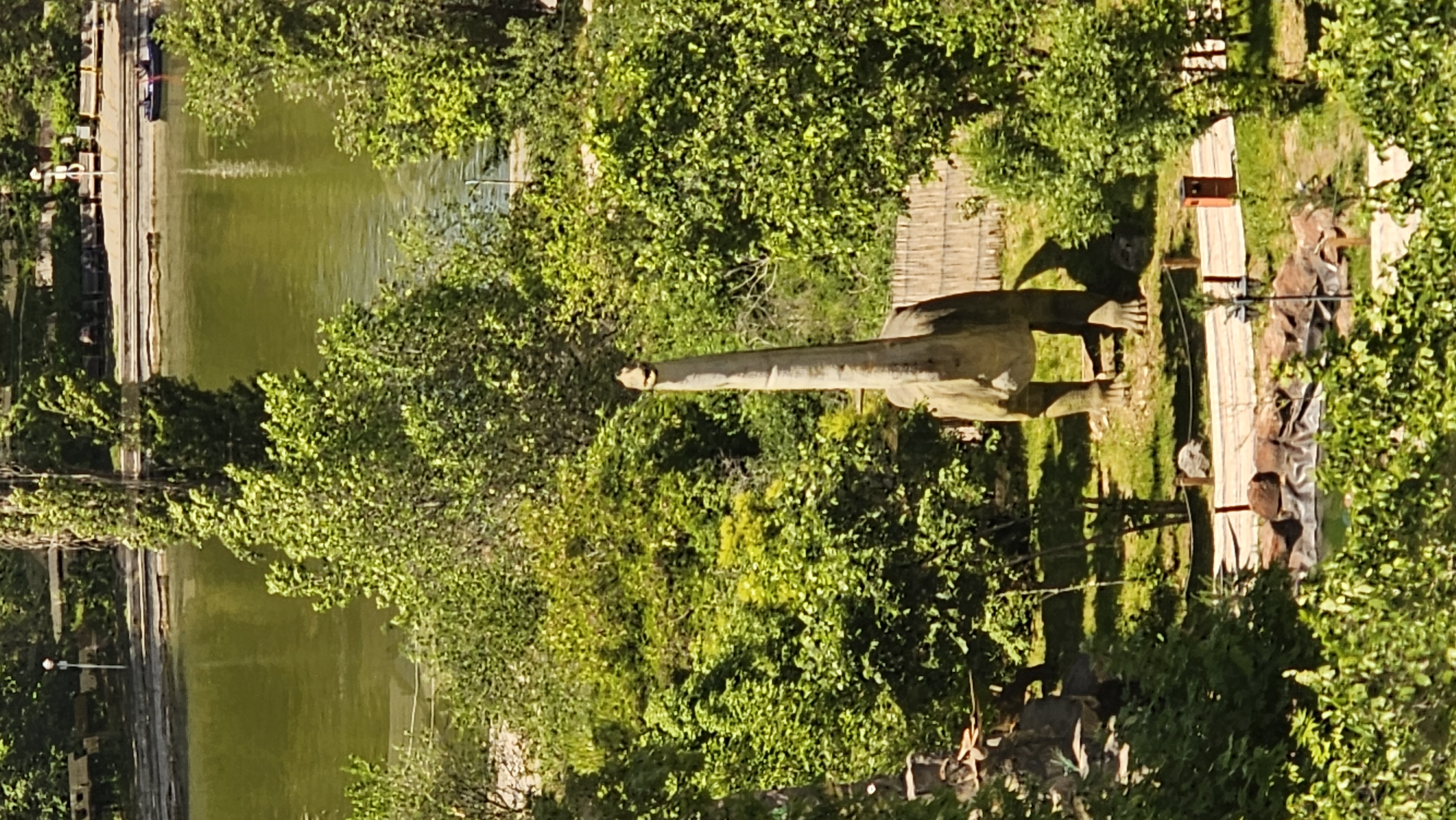 20260517_143645.jpg